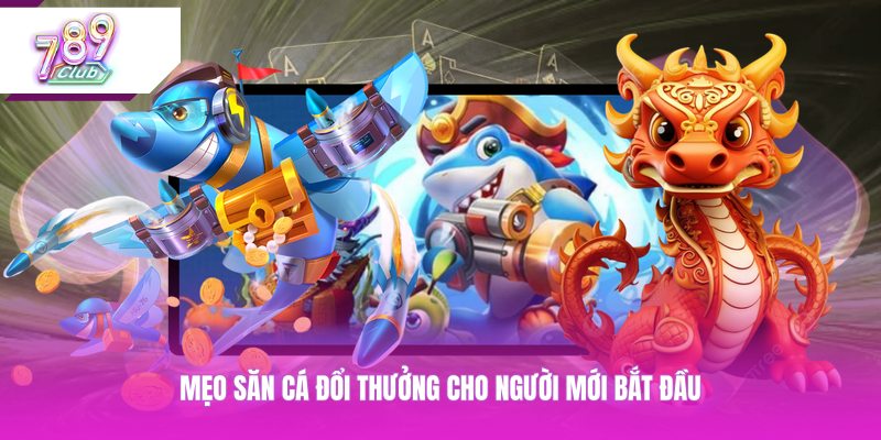 Mẹo săn cá đổi thưởng cho người mới bắt đầu