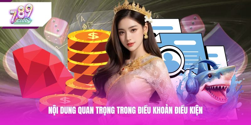 Nội dung quan trọng trong điều khoản điều kiện